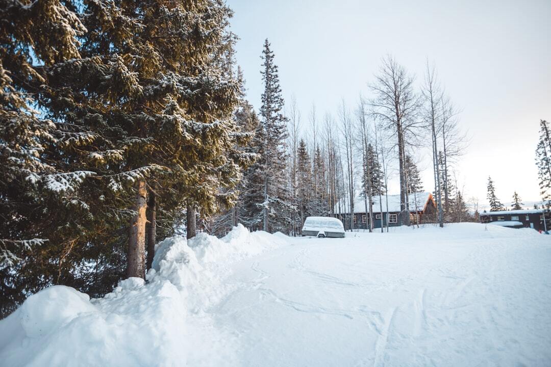 Leaving for the Winter? How to Protect Your Vehicle's Body and Finish While It Sits Leaving for the Winter? How to Protect Your Vehicle's Body and Finish While It Sits